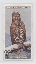1924 Player's Natural History Tobacco Crested Eagle #14 0a1