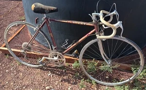 Vintage Peugeot Carbolite 103 Road Bike Made in France LOCAL PICKUP ONLY 51cm - Picture 1 of 5