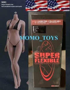 PHICEN 1/6 Super Flexible Seamless SUNTAN Body LARGE Bust Steel Skeleton S09C - Picture 1 of 2
