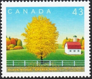 CANADA DAY * BLACK MAPLE = Canada 1994 #1524g MNH from Pane - Picture 1 of 1