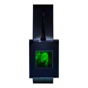 VELOCIRAPTOR (JURASSIC PARK) 3D BELEUCHTETE WANDHALTERUNG Hologramm Bild, Sammlerstück - Bild 1 von 7