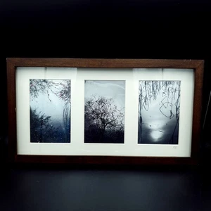 Triple Fotografía Firmada KDB Lago Árbol Flor Enmarcado L41 x 22.5cm - Imagen 1 de 12