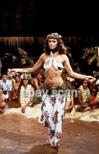 MAREN JENSEN BUSTY TROPICAL EXOTIC DANCE     8X10 PHOTO 11