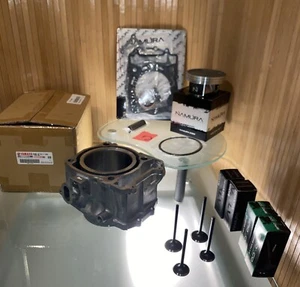 2016-18 YAMAHA GRIZZLY 700 TOP END Rebuild Kit / CYLINDER+Piston+Gaskets+VALVes - Picture 1 of 6