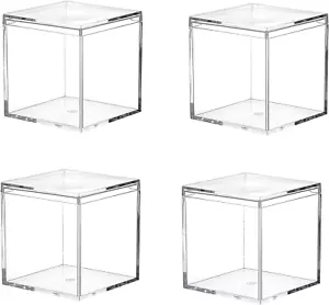 Small Clear Acrylic Box, 4 Pack Plastic Square Cube Containers with Lid Storage - Picture 1 of 8