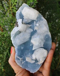 Apophyllite Crystals On Blue Matrix Minerals Specimen ( 14x8 Cm's )#M36 - Picture 1 of 5