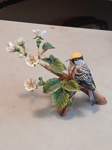 1980 FRANKLIN MINT LIMITED EDITION CHESNUT-SIDED WARBLER BIRD FIGURINE - Picture 1 of 9