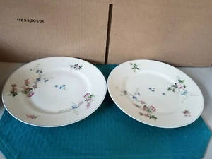 19th Century Haviland &Co Limoges Floral Pattern Pr Dinner Plates 1876-1889 RARE - Bild 1 von 3