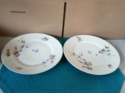 Platos de cena Haviland & Co Limoges del siglo XIX 1876-1889 RAROS Foto 1 de 3