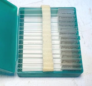 Präpariertes Mikroskop Objektträger Set - Säugetierphysiologie - Neu! - Bild 1 von 2