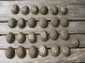 Lot 25 Anciens Moules NOIX  à Chocolat Biscuit Mignardise.. en métal - Imagen 1 de 7