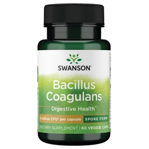 Swanson Bacillus Coagulans - Natural Probiotic w/ 6 Billion CFU, 60 Veg Caps - Picture 1 of 6
