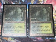 x1 ETCHED Foil Verdant Catacombs (NM) Modern Horizons MTG
