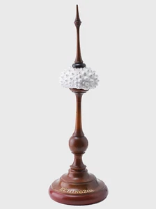 Real White Sea Urchin Shell on Mahogany Wood Stand 8.75" Nautical Beach Figurine - Picture 1 of 1