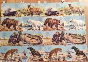# Fotos de Chatarra # Hermoso Antiguo Doppelbogen Großbogen EAS 3113 Wild-Tiere - Bild 1 von 2