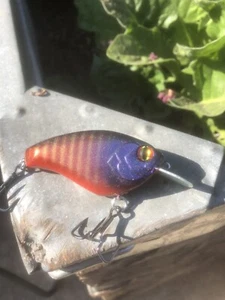 Custom Painted FS Flat Sided Crankbait Hell Gill - Picture 1 of 4
