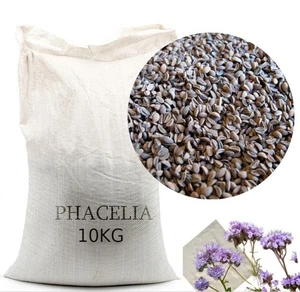 Phacelia 10 kg Gründüngung Stilllegung Zwischenfrucht Bodenverbesse Samen Bienen - Bild 1 von 6