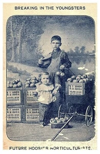 St Louis Trade Card 1904 Exposition R L Beck Horticultural Palace World's Fair  - Picture 1 of 4