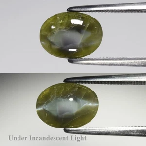 💎 2.78ct Oval Cabochon Natural Green Cat's Eye Chrysoberyl - Sri Lanka Gemstone - Picture 1 of 6