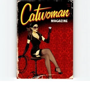 5-04-06 PWE Stock Photo . PROMO 2017 dc comics bombshells catwoman . p4 . (147) - Picture 1 of 2