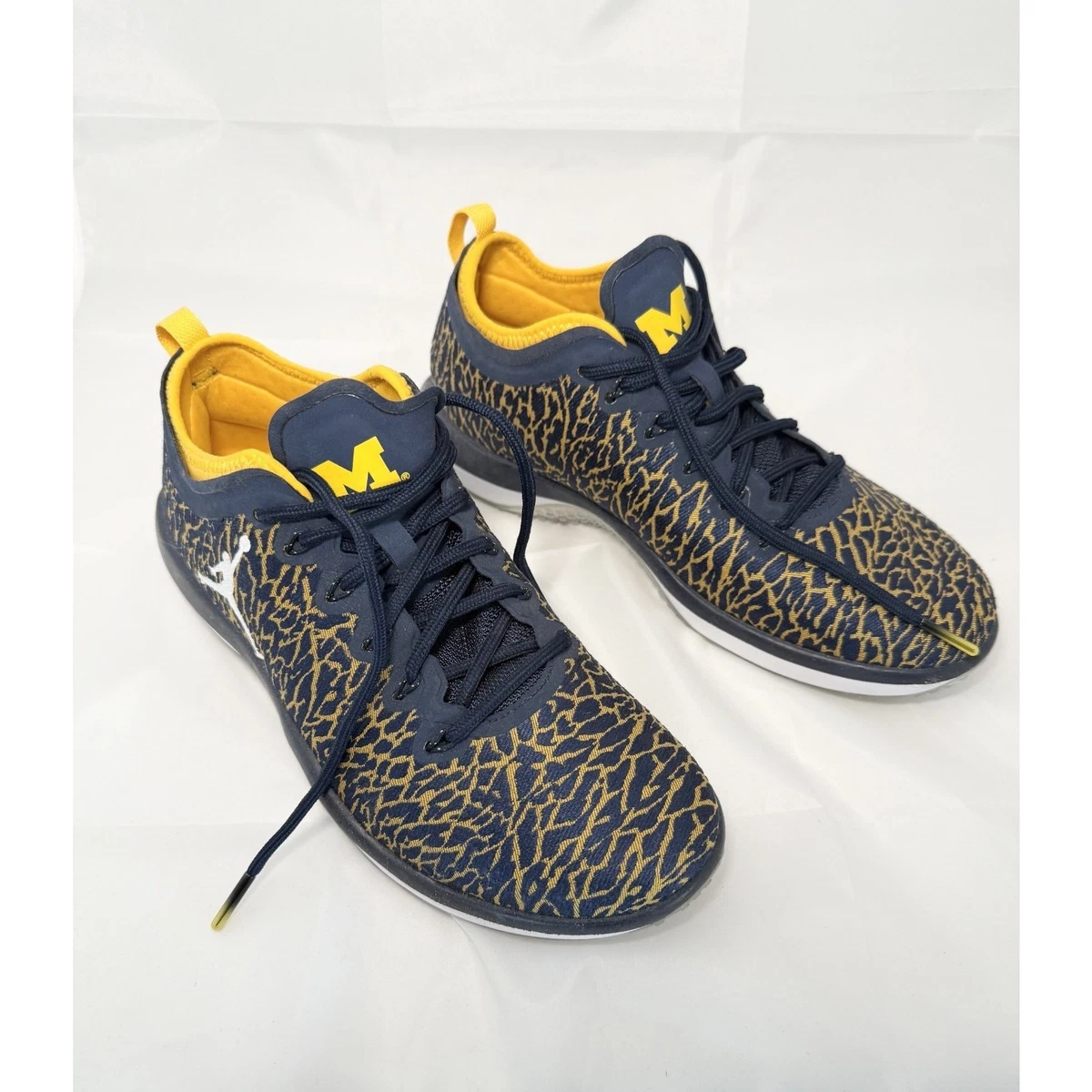 Jordan Trainer 1 Low Blue | eBay