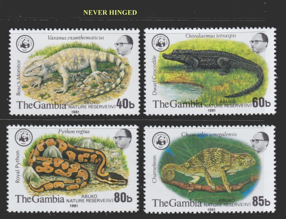 1981 GAMBIA WWF PYTON REGIU VARANUS CHAMELEON LIZARDS REPTILES SCT432-5 MI.430-3 - Image 1 of 1