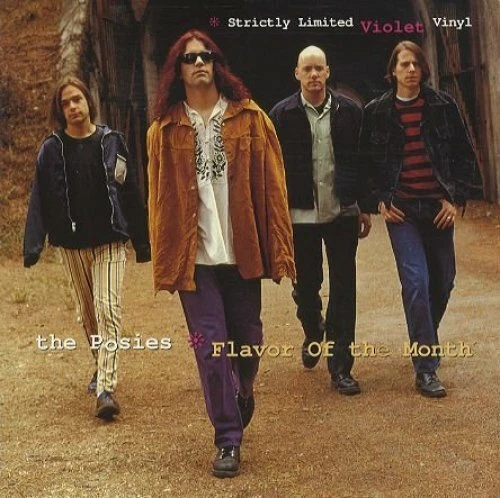 Posies Flavor of the month (1993)  [Maxi-CD] - Bild 1 von 1