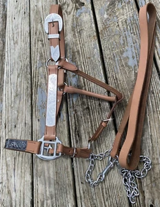 Light brown leather Western horse show halter w/silver overlay, lead - Picture 1 of 4