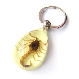 Natural Scorpion Specimen Real Insect in Resin Keychain Key Ring Fluorescent - Picture 1 of 4
