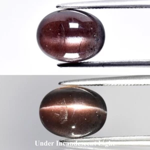 💎 Cabujón Ovalado GLC 2.57ct Natural Marrón Ojo de Gato Escapolita - Gema de África - Imagen 1 de 7