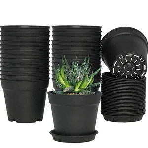 Plastic Pots 4 Inch 28 Pack Planters with Drainage for Succulents & Flowers - Picture 1 of 6