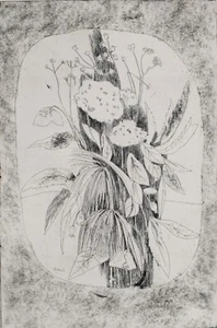 Acquaforte Etching Gravure ENRICO PAULUCCI "Fascio di Fiori" 1960 ca 27/50 - Bild 1 von 4