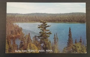 Pequot Lakes Minnesota Postkarte verschickt - Bild 1 von 3