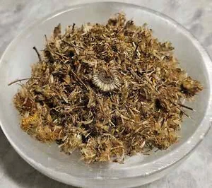 Arnica Flower Whole Herb - Picture 1 of 1