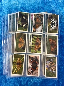 John Player & Sons - Grandee British Butterflies Juego completo de 32 cartas 1983 - Imagen 1 de 9