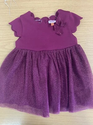 Girls Ted Baker Sparkly Dress Size 9-11 Months Party, Holiday, Wedding  - Image 1 of 3