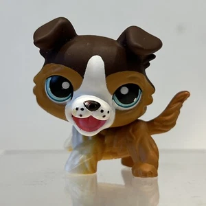 Littlest Pet Shop Collie Dog LPS 237 Open Mouth Brown White 2007 Animal Magnetic - Picture 1 of 6