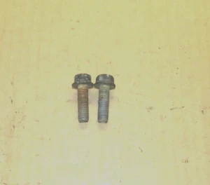 1984 Corvette Thermostat Aluminum Housing Mounting Bolts, (2), GM - Picture 1 of 1