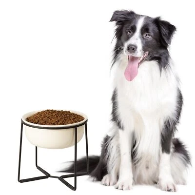 Hundenapf Erhöht Futternapf Hund Keramik - Fressnapf Hund Groß mit Rutschfest... - Bild 1 von 4