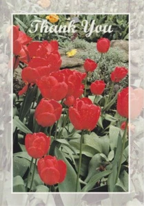 Schöne rote Tulpen DANKE Karte mit Bibeltext - 4. Mose 6,24 - EB8805 - Bild 1 von 1