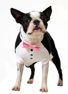 Dog Tuxedo for XXS dogs. 6" Long with Black Bow Tie - Picture 1 of 5