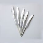 Crafts Diy Feathers Party Supplies Home Decoration Handicrafts Accessories