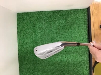 Juego de palos de golf de hierro HONMA T//WORLD TW-MB ROSE PROTO 4-10 7 piezas DG/R300 #AB08854 Foto 1 de 4