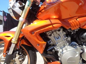 ECOPES (PAIRE) DESIGN Brut | CB 600 HORNET (03/06) - Afbeelding 1 van 12