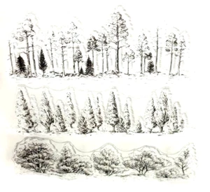 Trees Wood Forest Grove Forestry Mountains Park Clear Stamps 5.5" x 5.5" - Picture 1 of 1