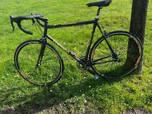 Straßenrennrad  COLNAGO C40 Carbon XL  Campagnolo Record 2 x 10 fach  RH 59cm - Bild 1 von 20