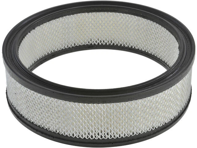 Filtro de aire API 63YN61B para Cadillac DeVille 1985-1987 4,1 L V8 ProTune ProTune Foto 1 de 1
