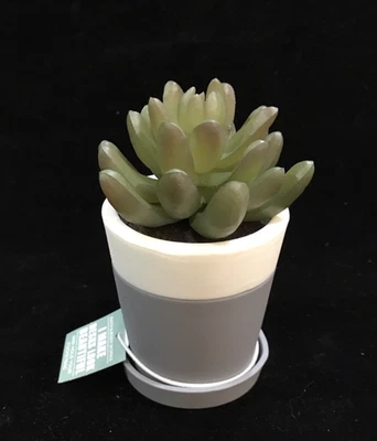 Retired & Rare  Bath and Bodyworks Succulent Plant Pocket Bac Holder for Desktop - Image 1 of 4