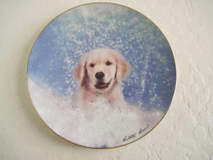 Plato dorado para cachorro The Hamilton PARTYTIME CACHORRO - Imagen 1 de 5