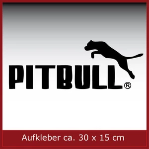 Pegatinas / pegatinas / decoración / Pitbull / #5009 - Imagen 1 de 5